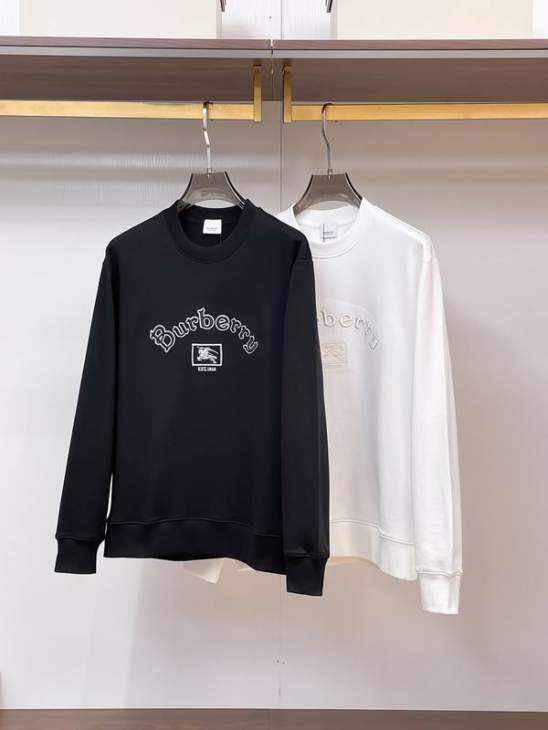 Picture of Burberry Sweatshirt _SKUBurberryS-2XLtltx24431024